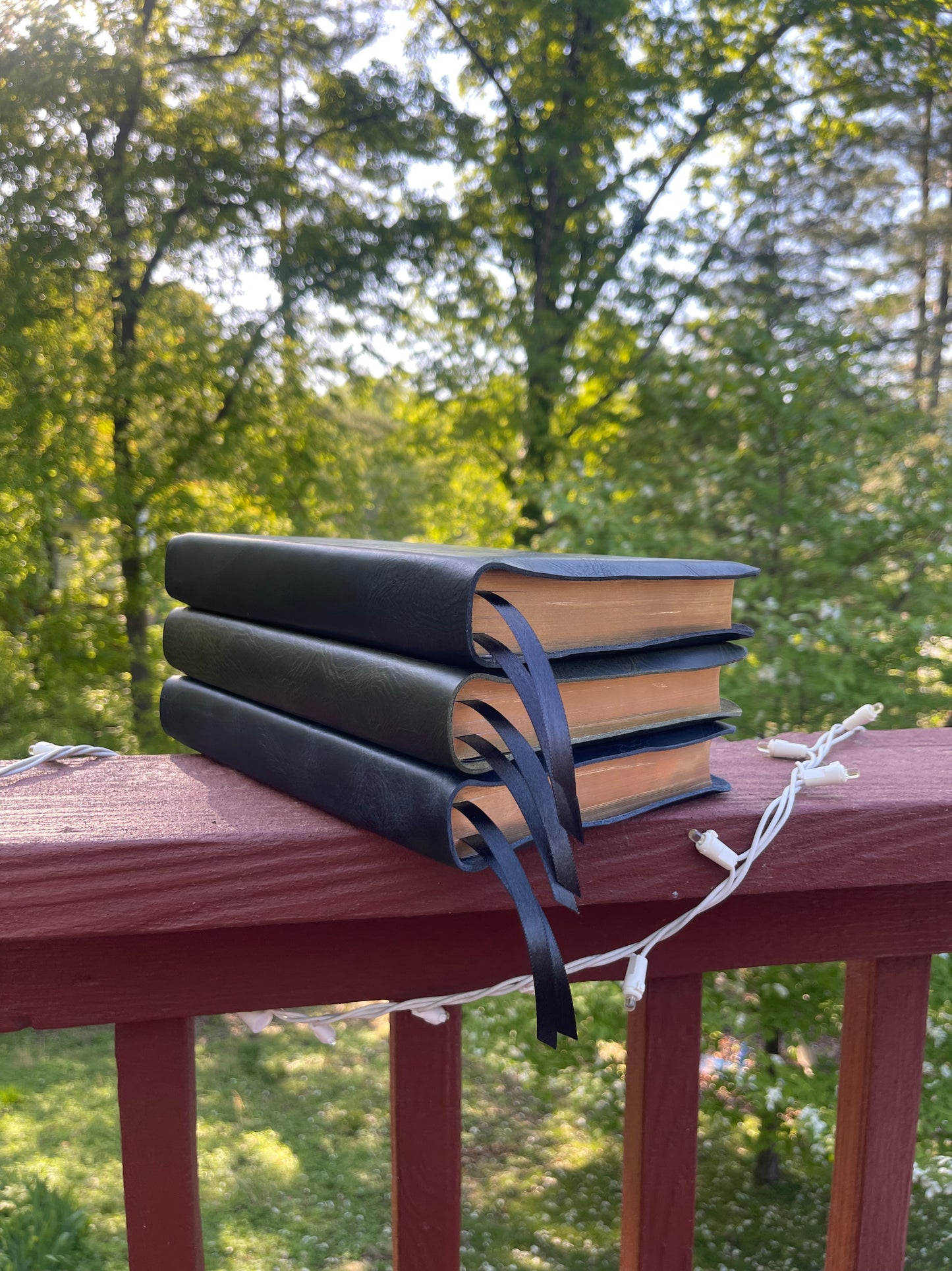 ESV Creeds and Confessions