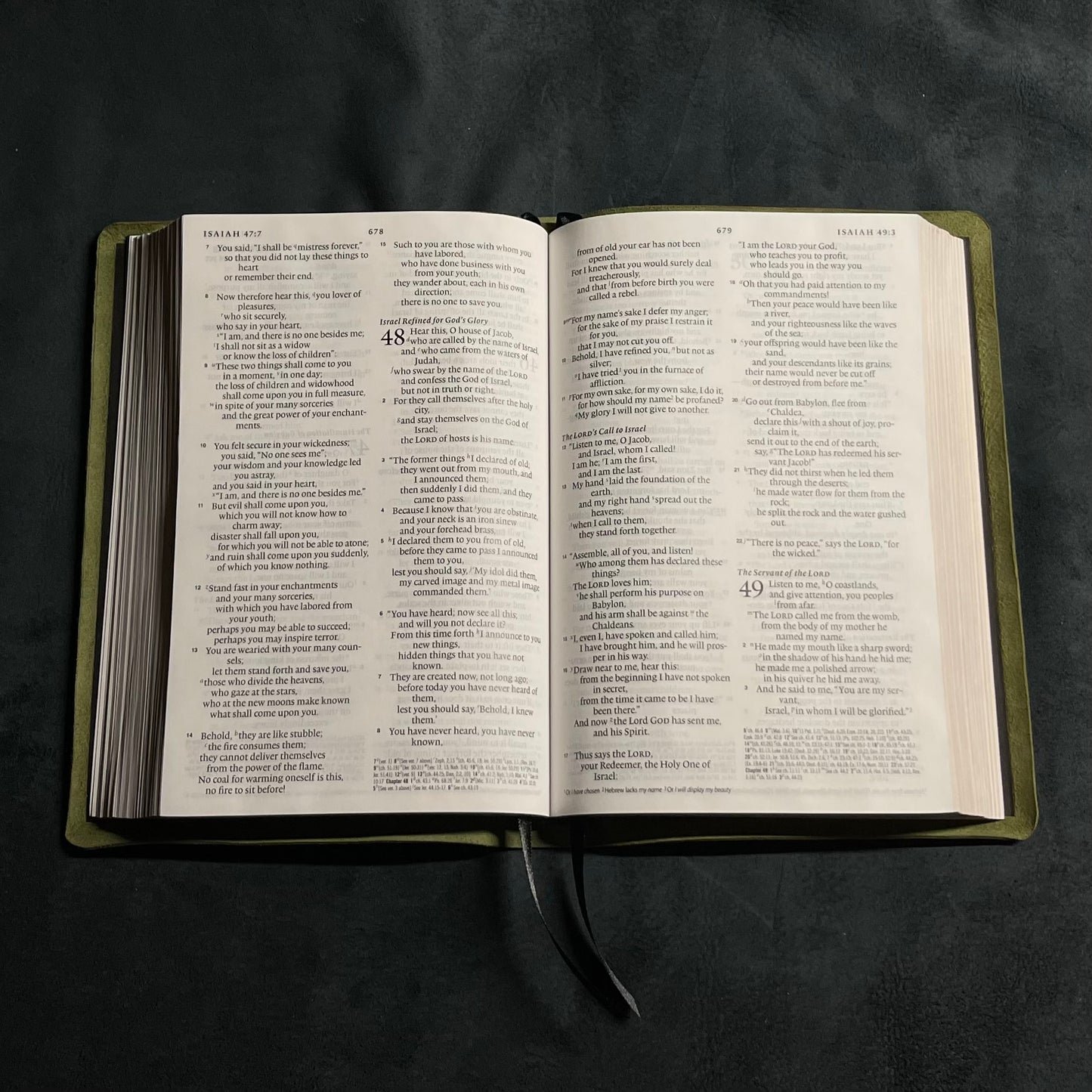 ESV Creeds and Confessions