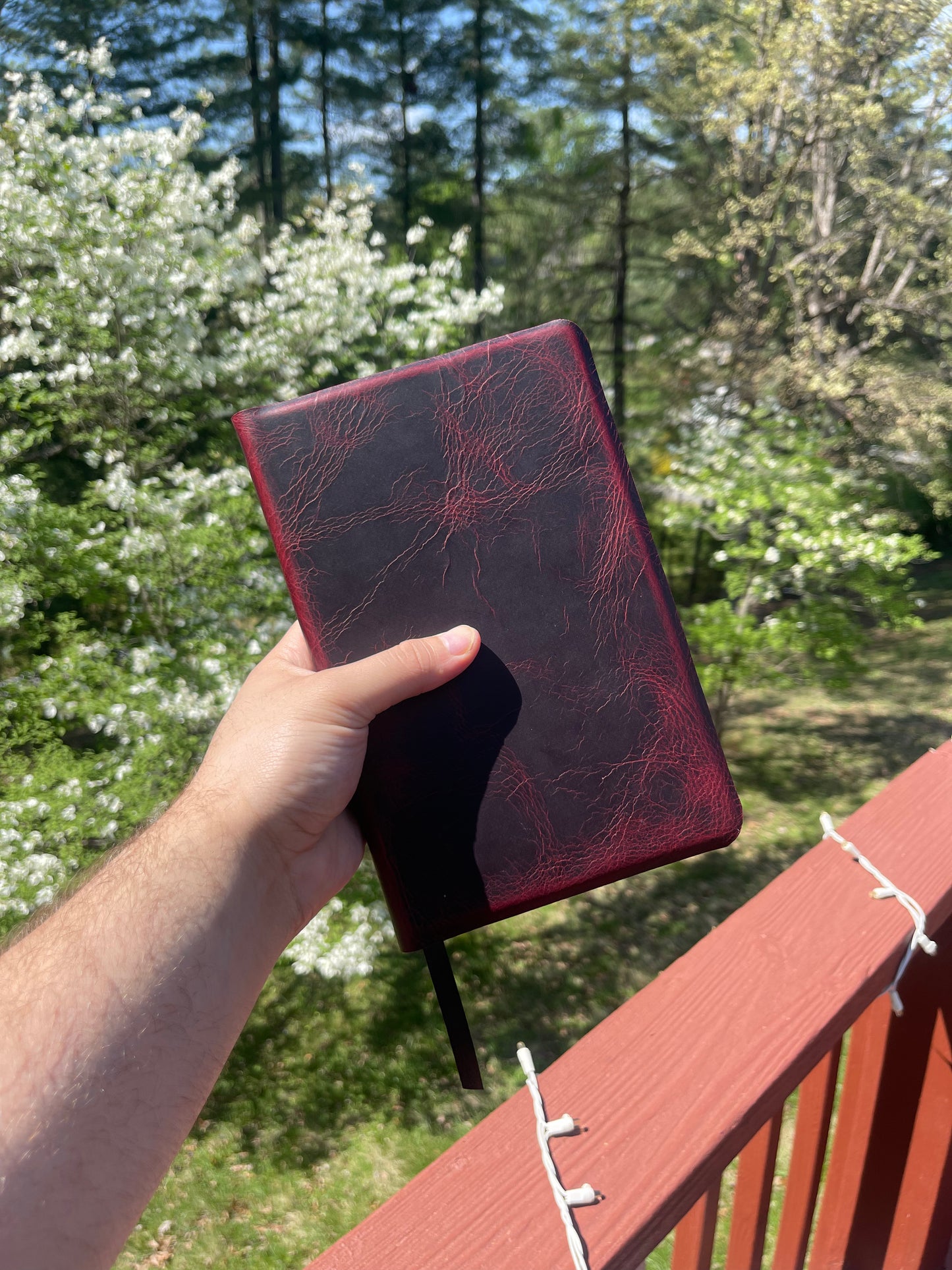 ESV Thinline
